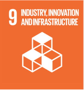 UN SDG 9